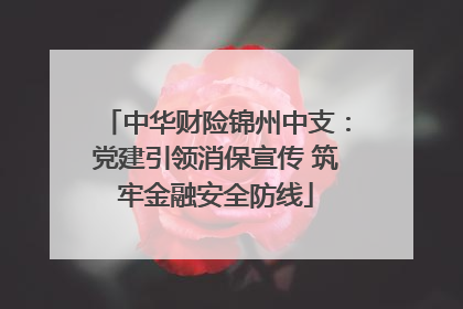 中华财险锦州中支：党建引领消保宣传 筑牢金融安全防线