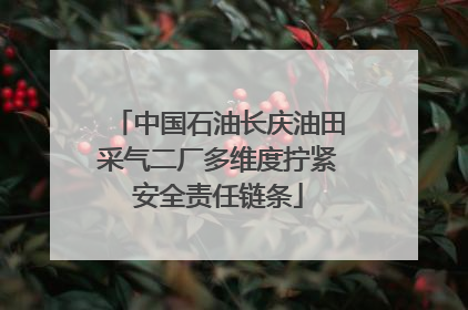中国石油长庆油田采气二厂多维度拧紧安全责任链条