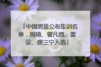 中国男篮公布集训名单，周琦、曾凡博、雷蒙、廖三宁入选