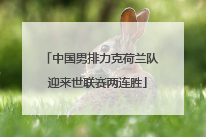 中国男排力克荷兰队 迎来世联赛两连胜