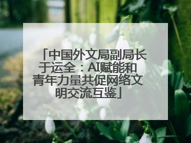 中国外文局副局长于运全：AI赋能和青年力量共促网络文明交流互鉴