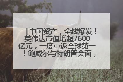 中国资产，全线爆发！英伟达市值增超7600亿元，一度重返全球第一！鲍威尔与特朗普会面，他们聊了什么？