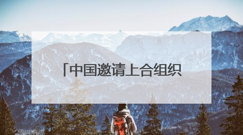 中国邀请上合组织成员国共建人工智能应用合作中心