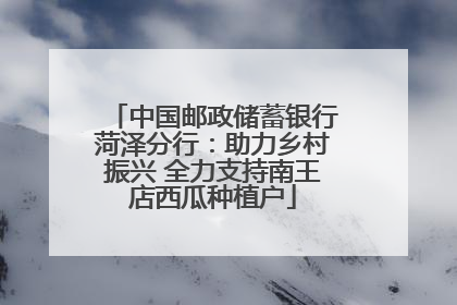 中国邮政储蓄银行菏泽分行：助力乡村振兴 全力支持南王店西瓜种植户