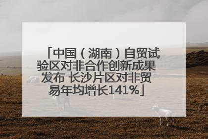 中国（湖南）自贸试验区对非合作创新成果发布 长沙片区对非贸易年均增长141%