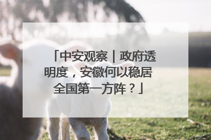 中安观察｜政府透明度，安徽何以稳居全国第一方阵？