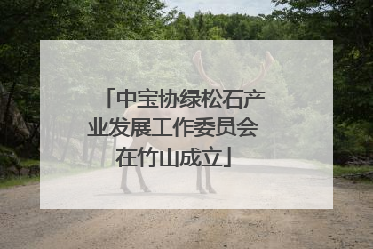中宝协绿松石产业发展工作委员会在竹山成立