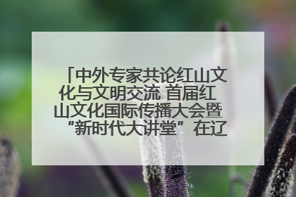 中外专家共论红山文化与文明交流 首届红山文化国际传播大会暨“新时代大讲堂”在辽宁朝阳举办