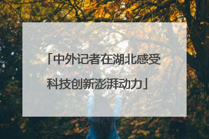 中外记者在湖北感受科技创新澎湃动力