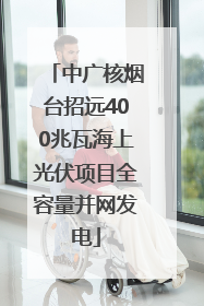 中广核烟台招远400兆瓦海上光伏项目全容量并网发电