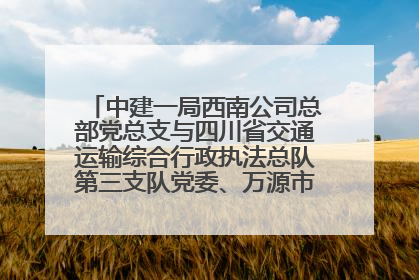 中建一局西南公司总部党总支与四川省交通运输综合行政执法总队第三支队党委、万源市草坝镇莲花院村党支部开展党建联建