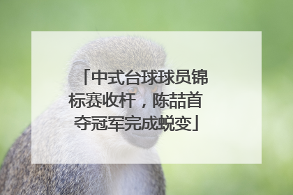 中式台球球员锦标赛收杆，陈喆首夺冠军完成蜕变