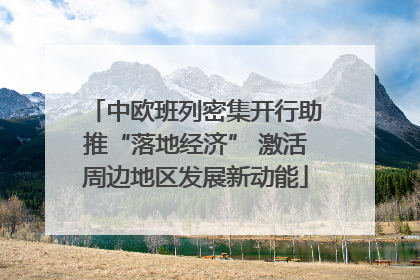 中欧班列密集开行助推“落地经济” 激活周边地区发展新动能