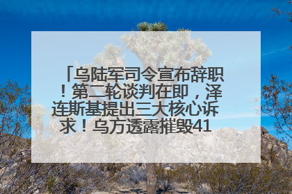 乌陆军司令宣布辞职！第二轮谈判在即，泽连斯基提出三大核心诉求！乌方透露摧毁41架俄战略轰炸机