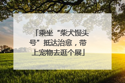 乘坐“柴犬馒头号”抵达治愈，带上宠物去逛个展