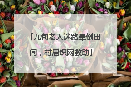 九旬老人迷路晕倒田间，村居织网救助