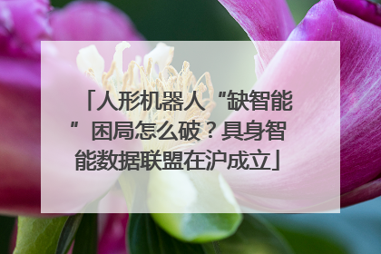人形机器人“缺智能”困局怎么破？具身智能数据联盟在沪成立