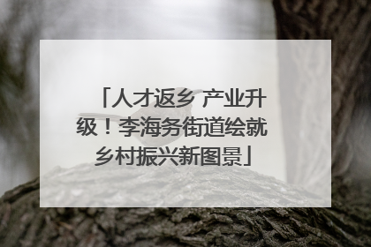 人才返乡 产业升级！李海务街道绘就乡村振兴新图景