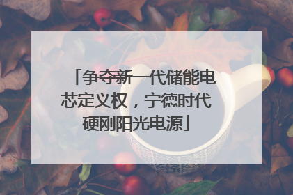 争夺新一代储能电芯定义权，宁德时代硬刚阳光电源