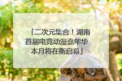 二次元集合！湖南首届电竞动漫嘉年华本月将在衡启幕