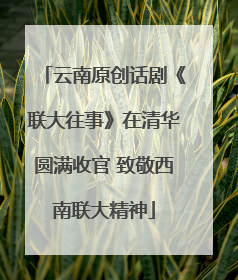 云南原创话剧《联大往事》在清华圆满收官 致敬西南联大精神