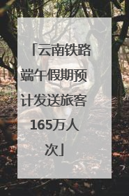 云南铁路端午假期预计发送旅客165万人次