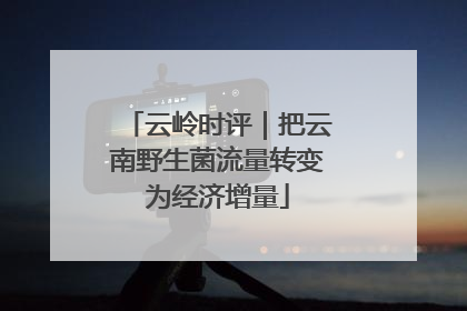 云岭时评｜把云南野生菌流量转变为经济增量