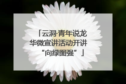 云洞·青年说龙华微宣讲活动开讲“向绿图强”