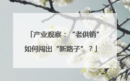 产业观察：“老供销”如何闯出“新路子”？