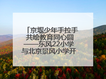 京堰少年手拉手 共绘教育同心圆——东风22小学与北京景风小学开展对口协作活动