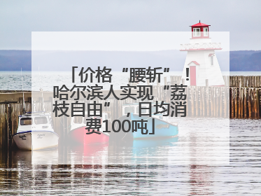 价格“腰斩”！哈尔滨人实现“荔枝自由”，日均消费100吨
