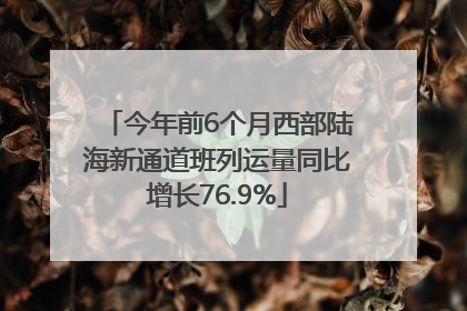 今年前6个月西部陆海新通道班列运量同比增长76.9%