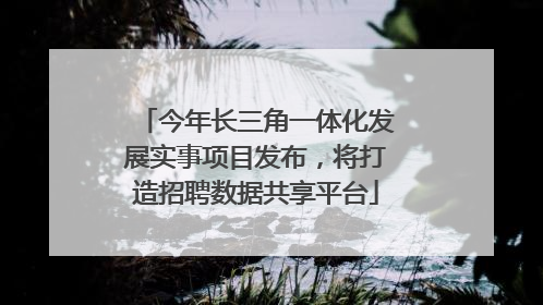 今年长三角一体化发展实事项目发布，将打造招聘数据共享平台