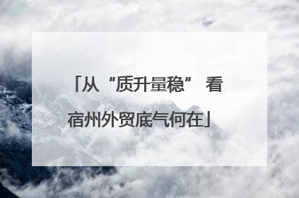 从“质升量稳” 看宿州外贸底气何在