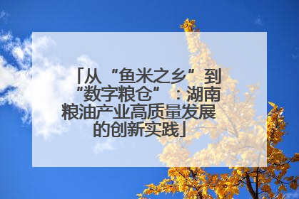 从“鱼米之乡”到“数字粮仓”：湖南粮油产业高质量发展的创新实践