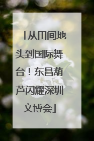 从田间地头到国际舞台！东昌葫芦闪耀深圳文博会