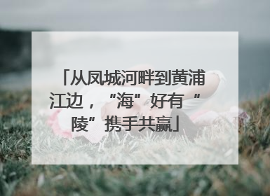 从凤城河畔到黄浦江边，“海”好有“陵”携手共赢