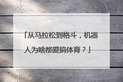从马拉松到格斗，机器人为啥都爱搞体育？