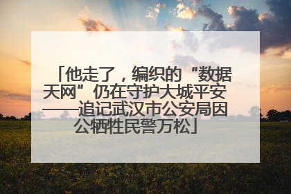 他走了，编织的“数据天网”仍在守护大城平安——追记武汉市公安局因公牺牲民警万松