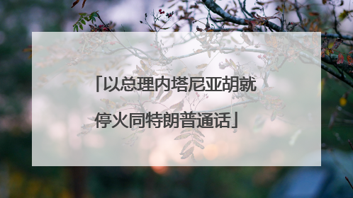 以总理内塔尼亚胡就停火同特朗普通话