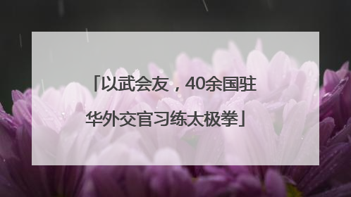 以武会友，40余国驻华外交官习练太极拳
