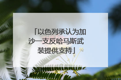 以色列承认为加沙一支反哈马斯武装提供支持