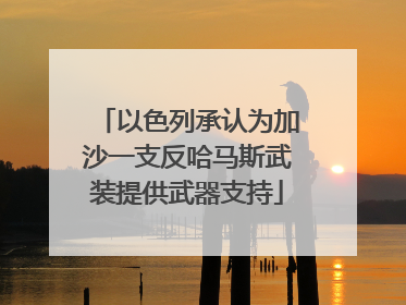 以色列承认为加沙一支反哈马斯武装提供武器支持