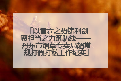 以雷霆之势铸利剑 聚担当之力筑防线——丹东市烟草专卖局超常规打假打私工作纪实