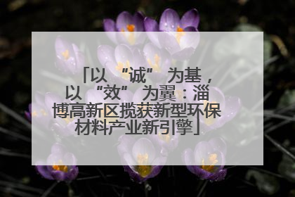 以 “诚” 为基，以 “效” 为翼：淄博高新区揽获新型环保材料产业新引擎