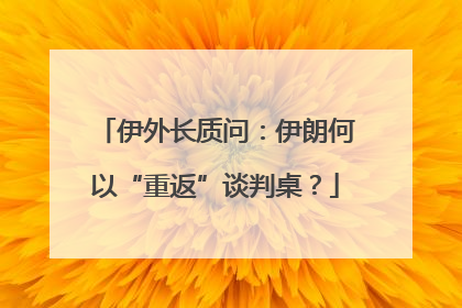 伊外长质问：伊朗何以“重返”谈判桌？