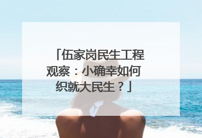 伍家岗民生工程观察：小确幸如何织就大民生？
