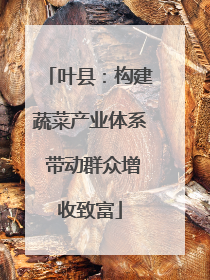 叶县：构建蔬菜产业体系 带动群众增收致富