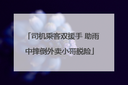 司机乘客双援手 助雨中摔倒外卖小哥脱险