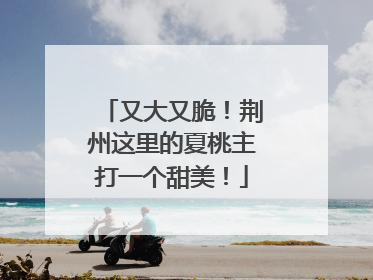 又大又脆！荆州这里的夏桃主打一个甜美！